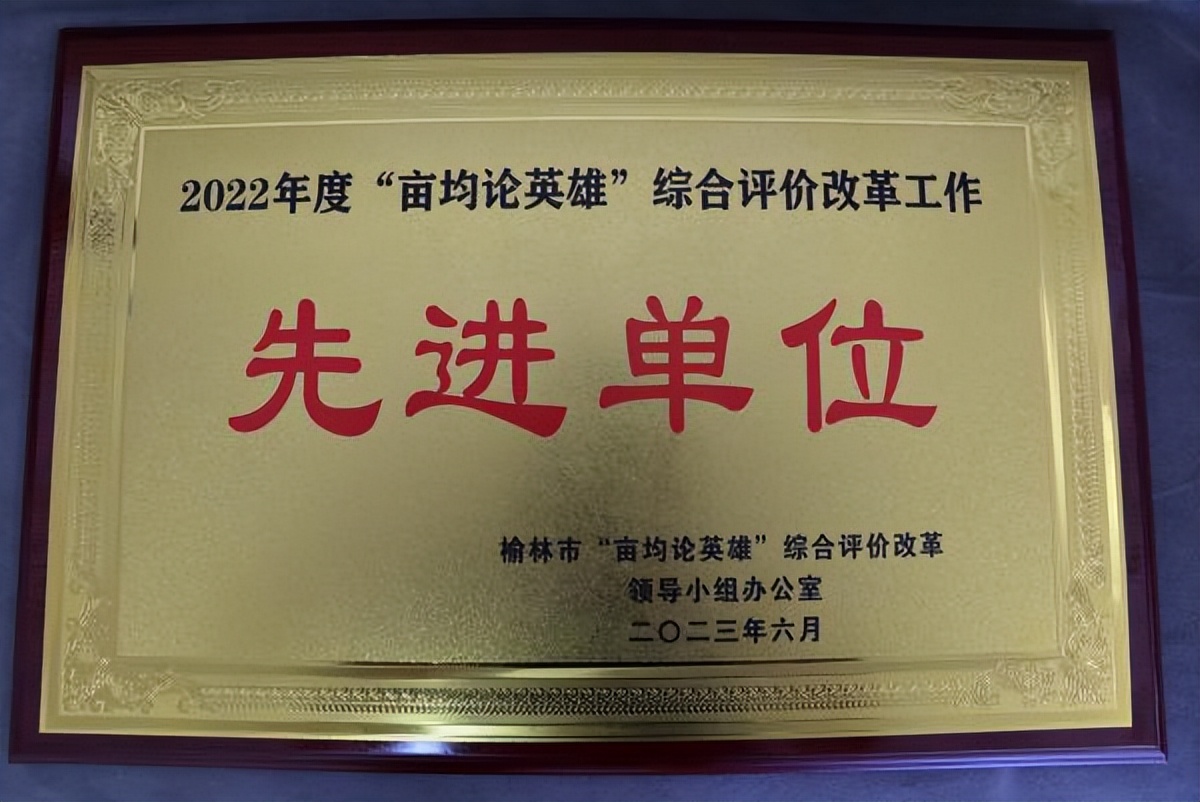 <b>靖边县税务局被评为“亩均论英雄”综合评价改革工作先进单位</b>
