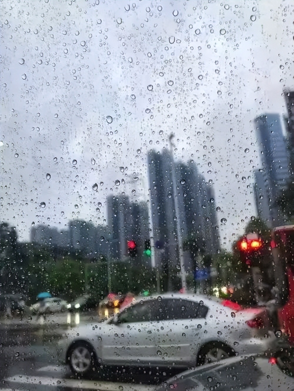 <b>汛期科普 | 山洪泥石流及其应对措施</b>