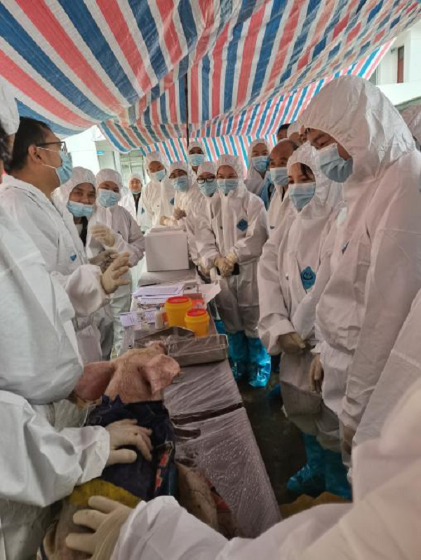 <b>柞水县举办基层动物疫病防治员技能大赛  全面提升基层防疫体系建设</b>