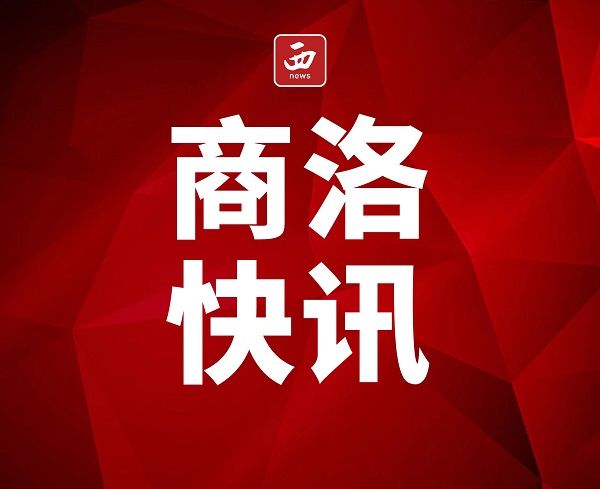 <b>商洛市镇安县米粮镇“集体学法”推动工作提质增效  </b>