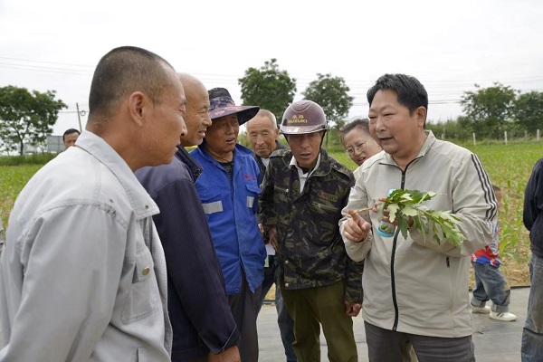 <b>铜川市玉米化学除草现场会在宜君县召开</b>