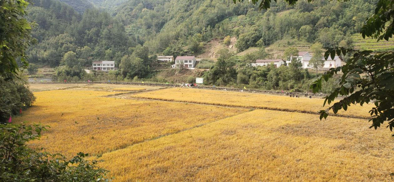 <b>强降水！高温！干旱！陕西2024年夏季气候趋势预测报告出炉→</b>