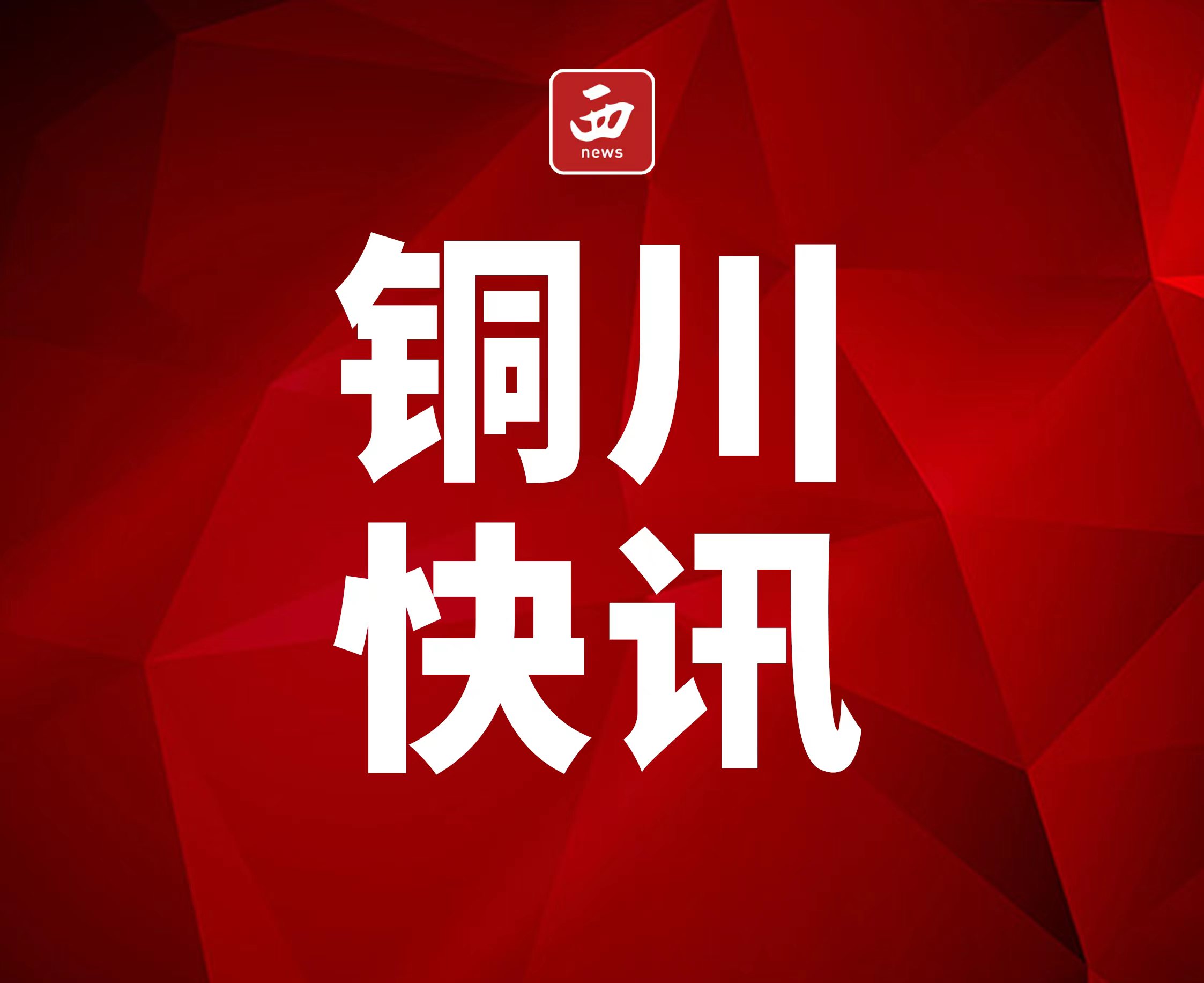 <b>铜川市印台区委组织部：“三突出”锻造敢担当善作为的组工干部队伍</b>