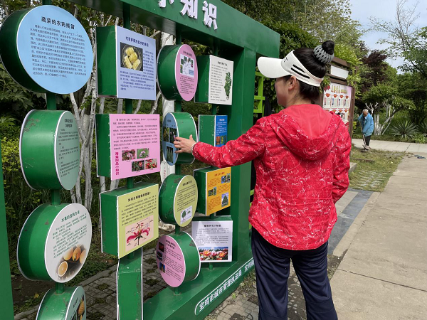 <b>宝鸡植物园：植物知识科普墙点亮科普新阵地</b>