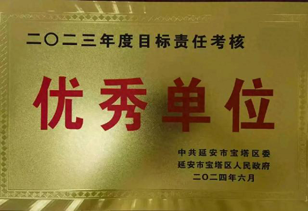 <b>延安市宝塔区南市街道荣膺全区2023年度目标责任考核优秀单位</b>