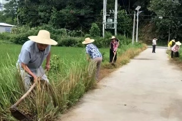 <b>河南正阳县傅寨乡：整治人居环境  绘就和美乡村</b>