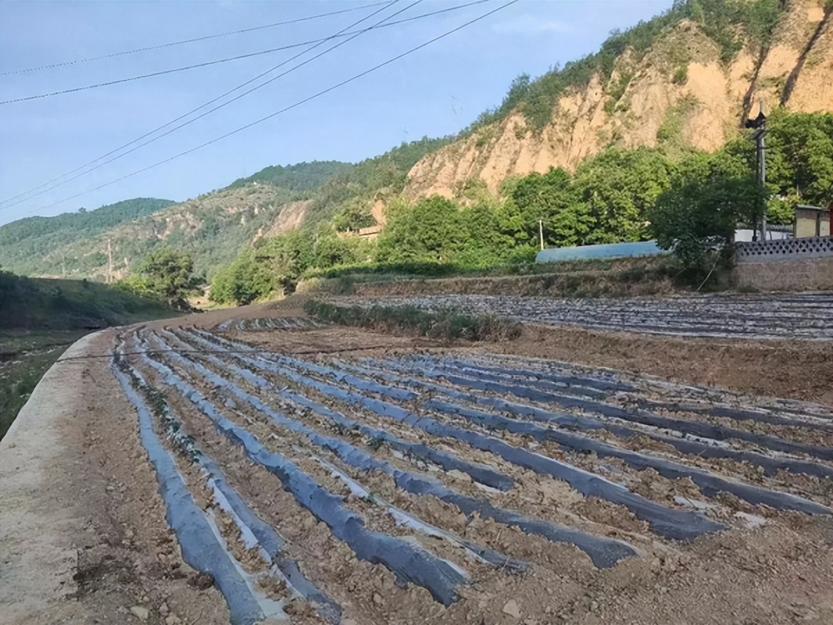 <b>延安市宝塔区：生态保护修复项目 让沟洼台地变沃野农田</b>