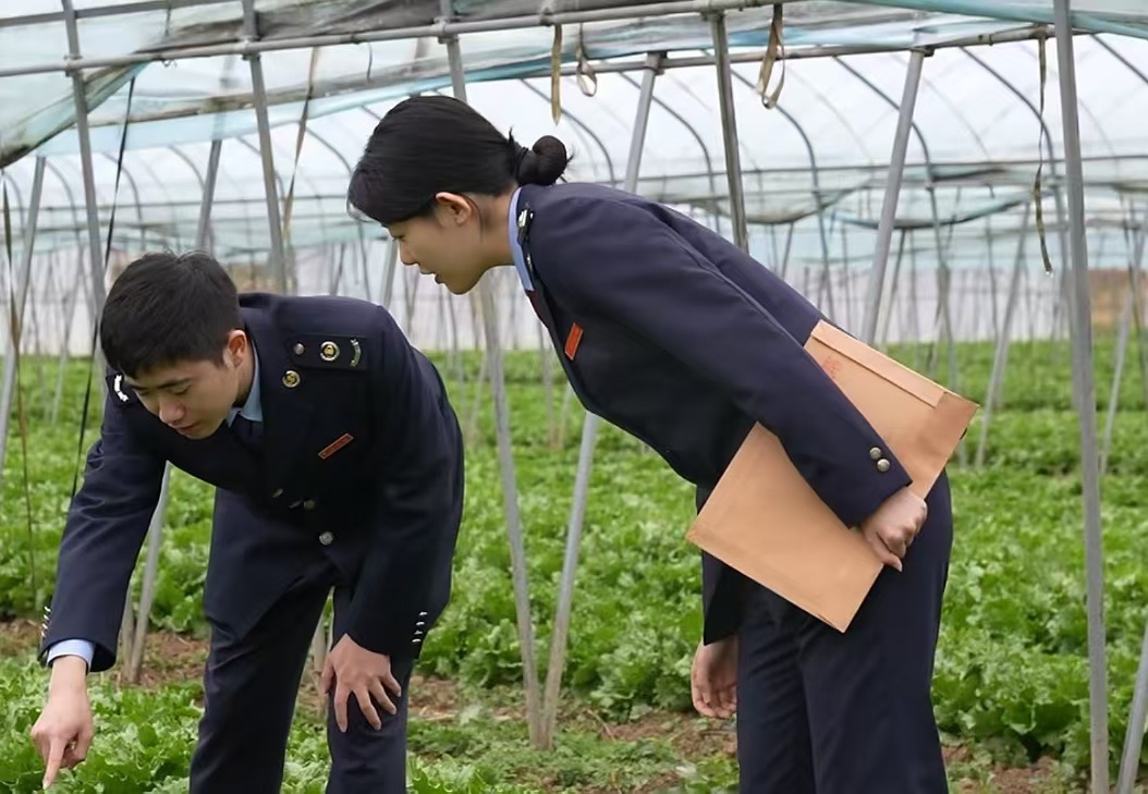 陕西高山蔬菜端上港澳餐桌！税费优惠政策助力百姓增收致富