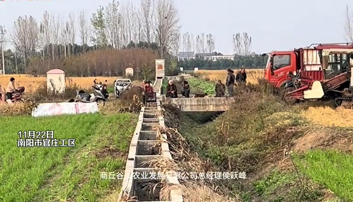 <b>河南省南阳市官庄工区：村民没有收到地租，致2300余亩水稻收割受阻</b>