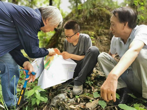 <b>陕西勉略宁地区：5600万吨锰矿潜力，注入乡村振兴新动力</b>