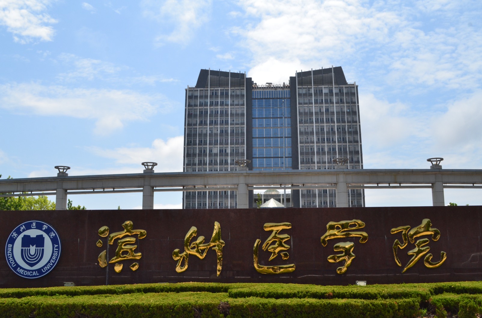 <b>山东申报4所高校，滨州医学院拟更名山东医药大学</b>