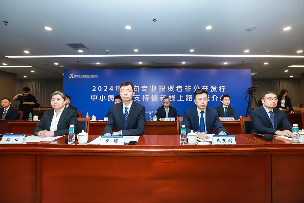 <b>西安经开金控成功举办中小微企业支持债券发行线上路演推介会</b>