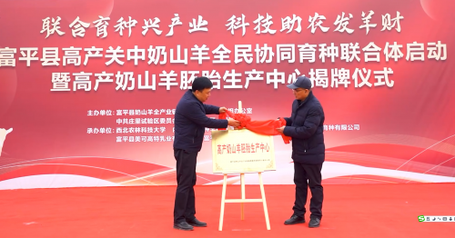 <b>渭南富平县高产关中奶山羊全民协同育种联合体项目启动暨高产奶山羊胚胎</b>