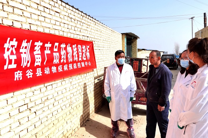 <b>榆林市府谷县：打好动物“防疫针” 筑牢畜禽“安全网”  </b>