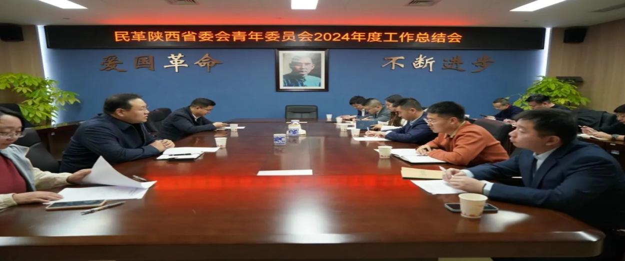 <b>民革陕西省委会青年委员会召开2024年度工作总结会</b>