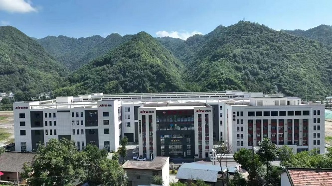 <b>商洛市柞水县小岭镇：服务保障“全力度”项目建设“加速度”  </b>