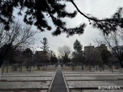 <b>内蒙古多降雪天气！大风持续在线，气温骤降</b>