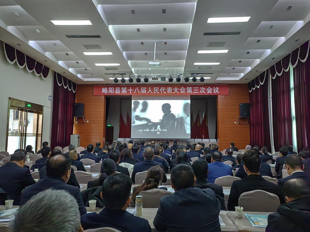 <b>2024年汉中市略阳县纪检监察工作综述</b>