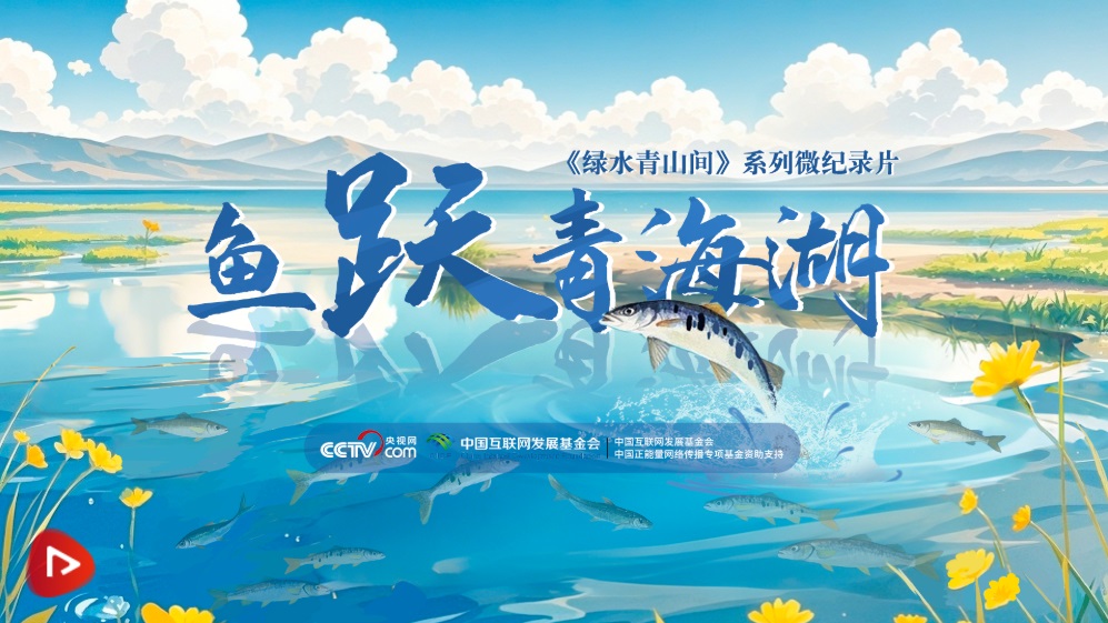 <b>绿水青山间｜鱼跃青海湖</b>