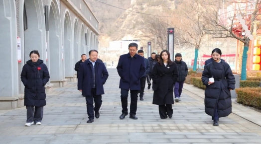 <b>马江利一行调研金延安</b>
