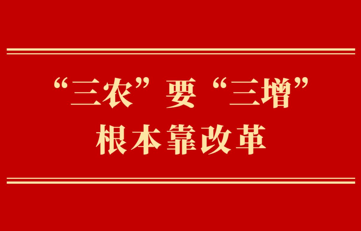 <b>第一观察｜“三农”要“三增” 根本靠改革</b>