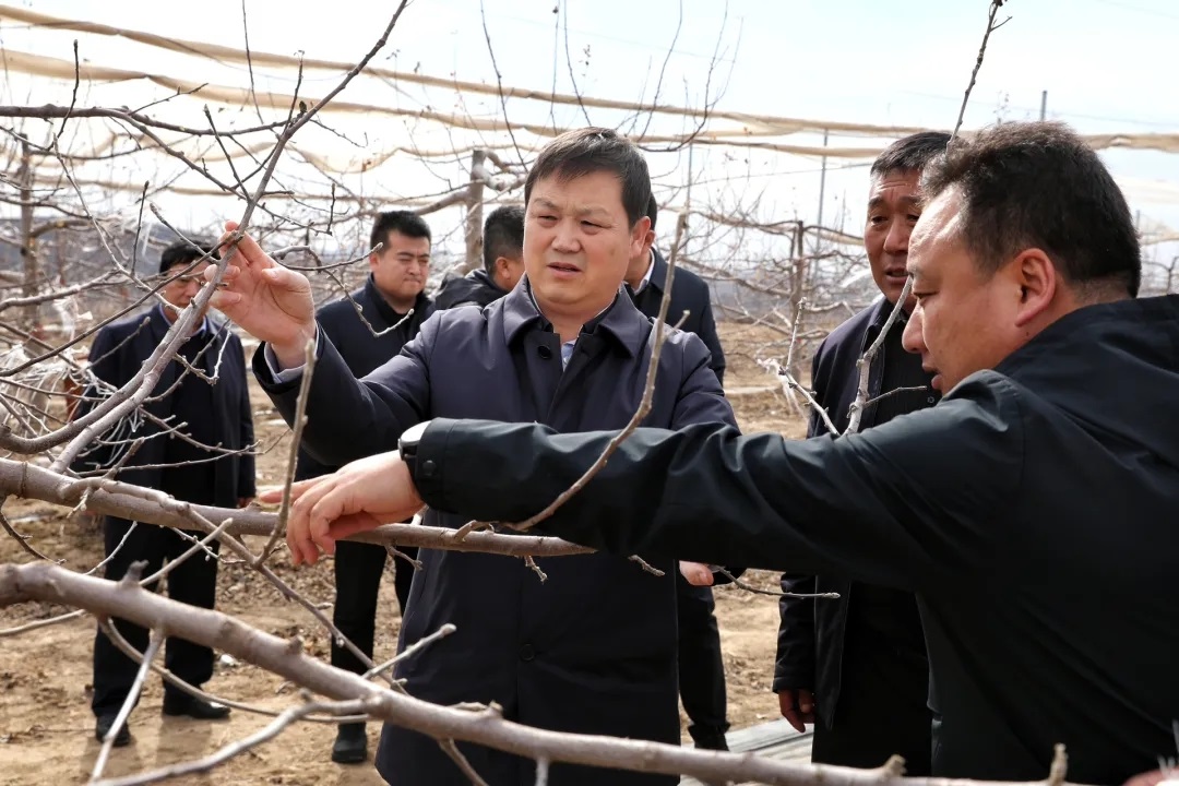 <b>延安市吴起县委书记贺毅到庙沟镇调研春季农业生产工作</b>