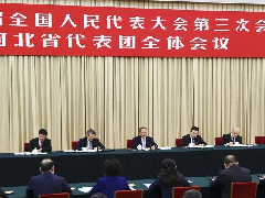<b>国务院总理参加河北代表团审议</b>