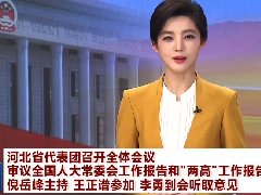 <b>河北省代表团召开全体会议 审议全国人大常委会工作报告和“两高”工作报</b>