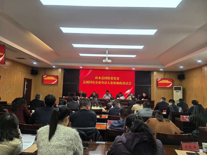 <b>商洛市柞水县国资委党委召开县属国有企业负责人集体廉政谈话会  </b>