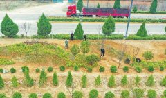 <b>山西省各地陆续开展春季植树造林一同“写”下对春天的告白</b>