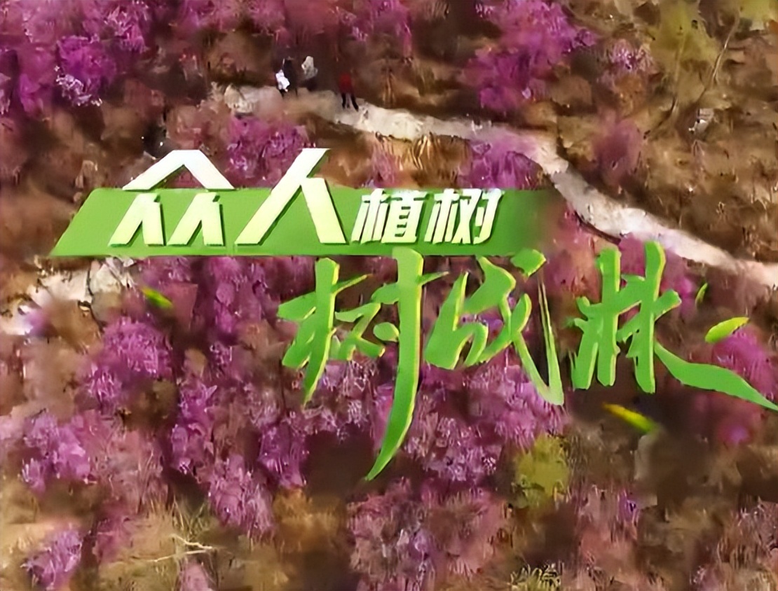 <b>壹视界·微视频｜众人植树树成林</b>
