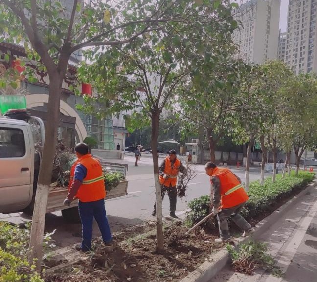 <b>西安市莲湖区城管执法局：春季补植大作战 解锁城区新颜值</b>