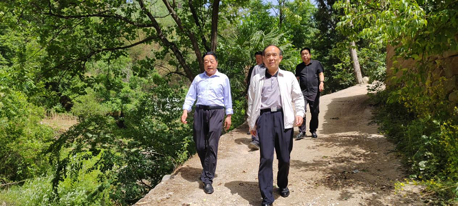 <b>商洛市慈善协会在丹凤县检查慈安便民桥建设工作  </b>