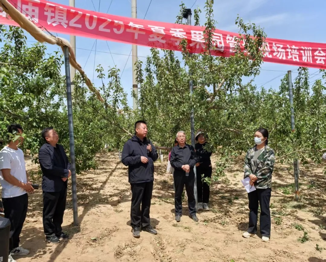 延安市吴起县长官庙镇举办夏季果园管理现场培训会
