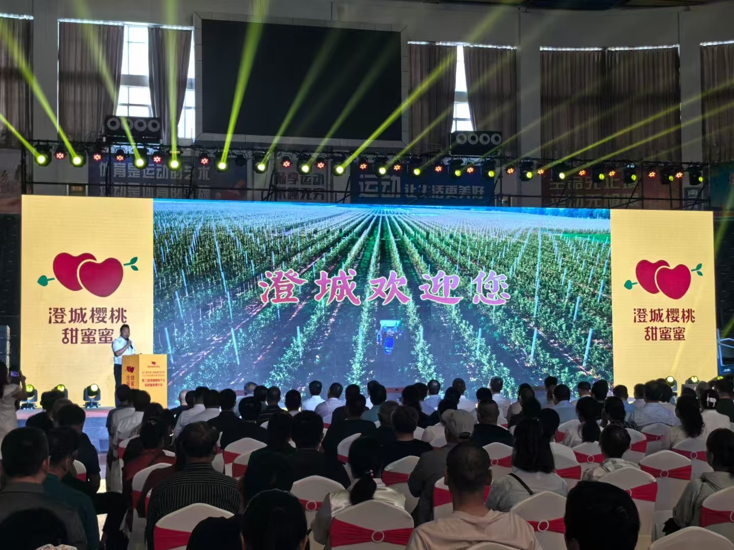 第六届中国·澄城樱桃营销季2025年陕西水果特色季在澄城县启动