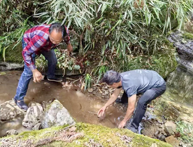 <b>汉中市宁强县高寨子街道“双线作战”抗旱情多措并举保民生  </b>