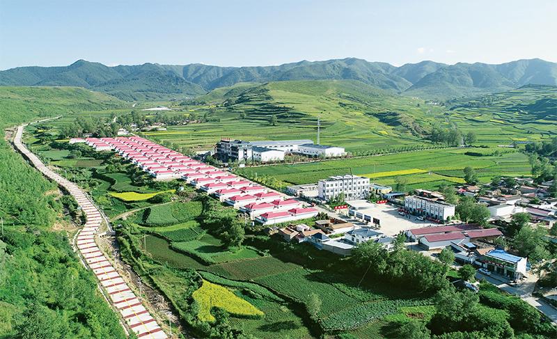<b>习近平关切的圆梦工程 让“干坡坡”变“金窝窝”</b>