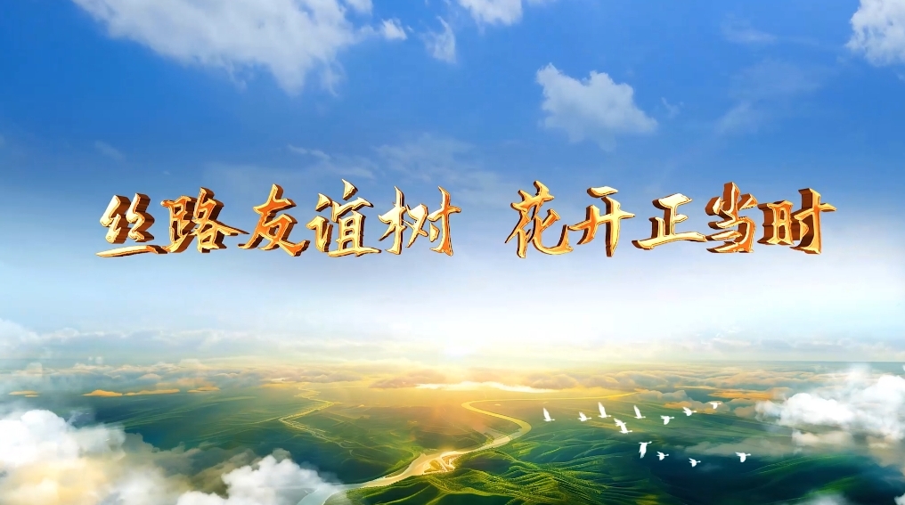 大道之行丨丝路友谊树 花开正当时