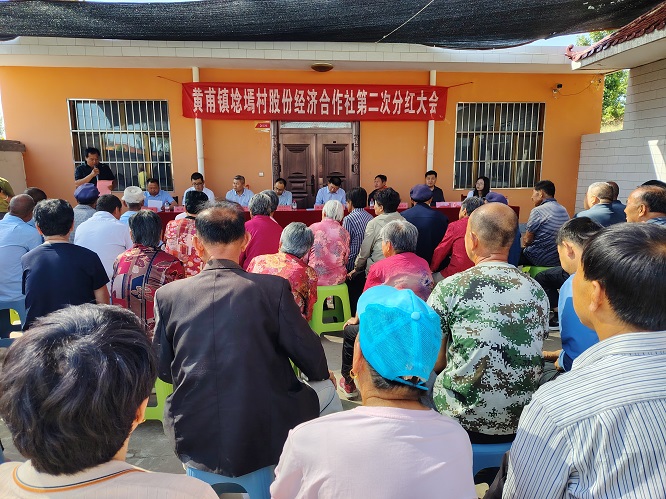 <b>榆林市府谷县埝墕村：集体经济“结硕果”  村民分红笑开颜  </b>