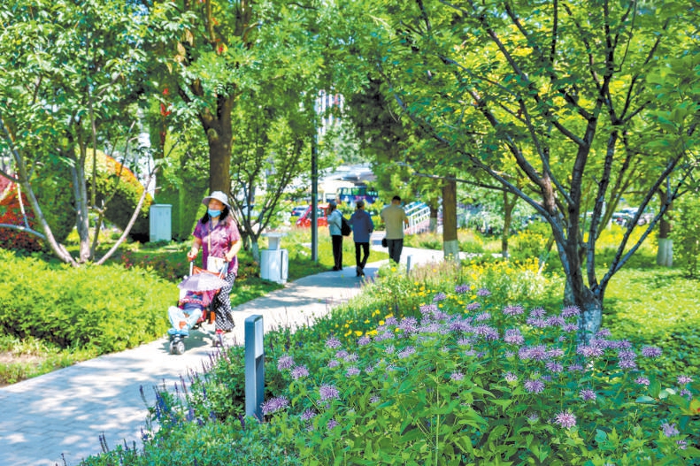 <b>北京市将推行三级园艺师制度，公开征集园林绿化专业人才</b>
