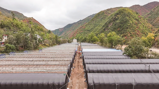 <b>商洛市：堤坝筑牢 菌袋满棚 柞水灾后重建跑出振兴“加速度”  </b>