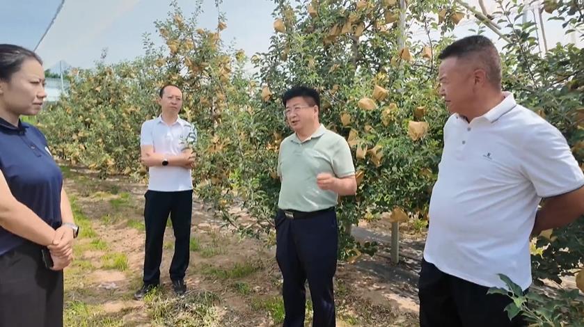 <b>延安市委常委、宝塔区委书记王明智调研农业农村工作</b>
