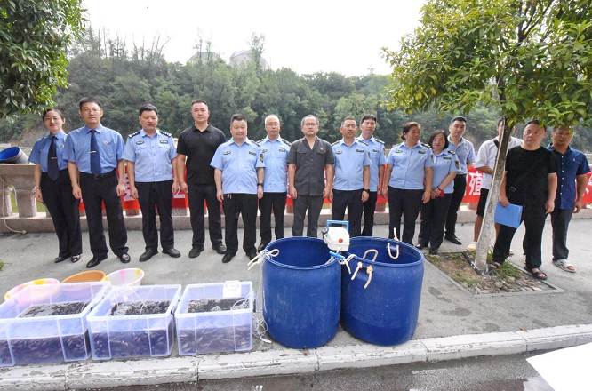 <b>呵护汉江源头生态，汉中市宁强县向玉带河投放鱼苗20万尾  </b>