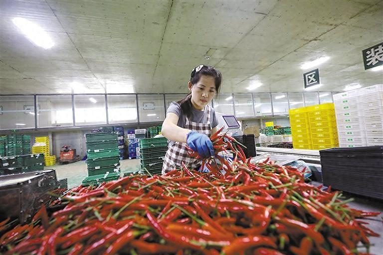<b>河北净菜进京“六进”活动暨“品味河北”专题品鉴推介活动顺利举行</b>