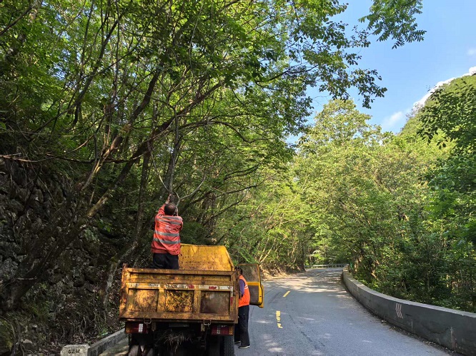 <b>商洛市：柞水公路段精修细剪行道树 护航交通安全提“颜值”  </b>