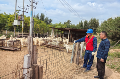 <b>国网榆林科创新城中心供电所：从“管”到“育”  重塑班组建设“动力源”</b>