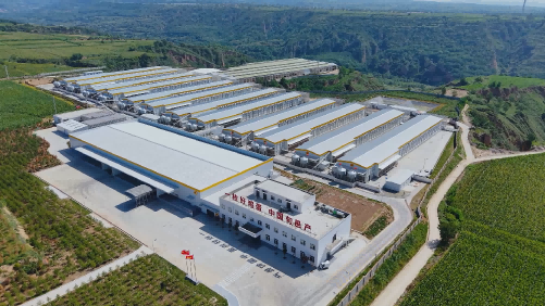 <b>电力赋能：国网咸阳供电公司全力 护航“超蛋公园”</b>