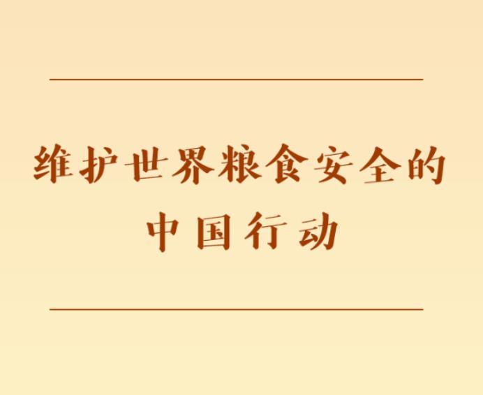 第一观察 | 维护世界粮食安全的中国行动