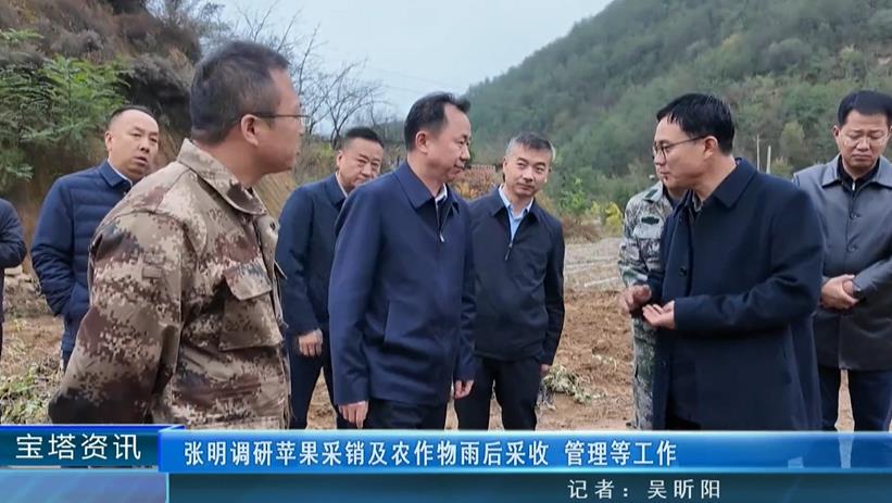 <b>张明调研苹果采销及农作物雨后采收 管理等工作</b>