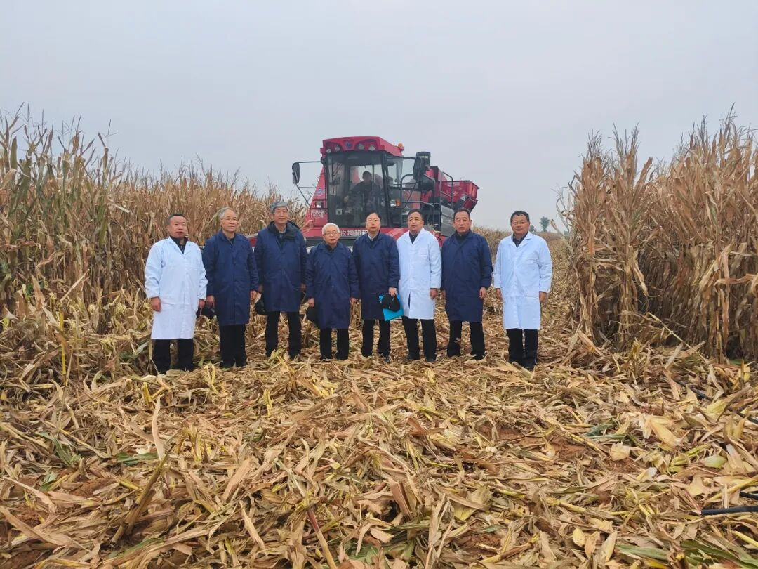 <b>靖边县玉米高产示范田测产创佳绩 万亩百亩单产双破纪录</b>